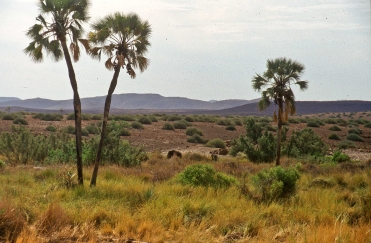 Damaraland, Namibia